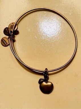Gently used, ALEX AND ANI Gold Tone Apple Charm Bangle Bracelet 🍎🍏